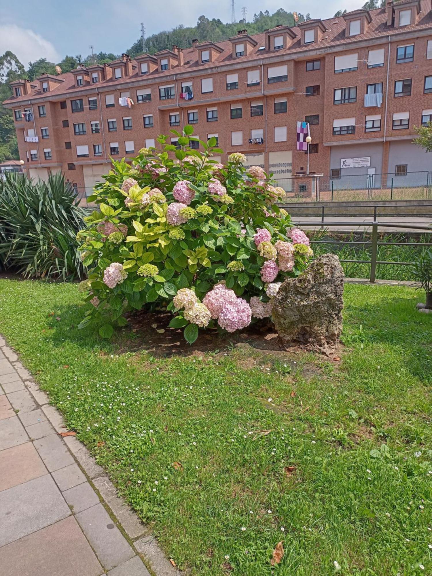 El Refugio De Noa Apartment Mieres  Luaran gambar